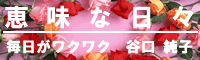 �b���ȓ��X�i�V�����E�B���h�E�ŕ\���j